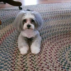 Meet your Posher, Tracey